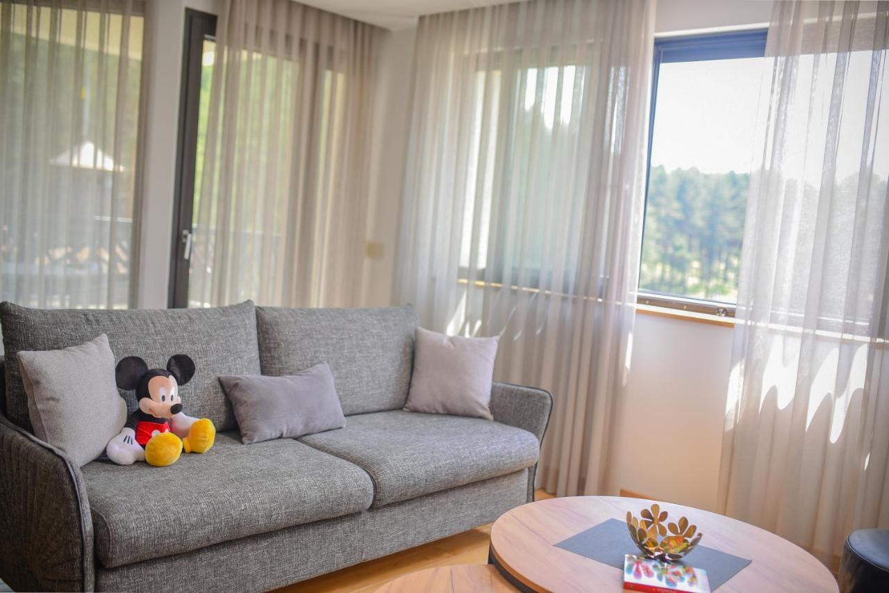 Vila Masa Zlatibor Exteriér fotografie